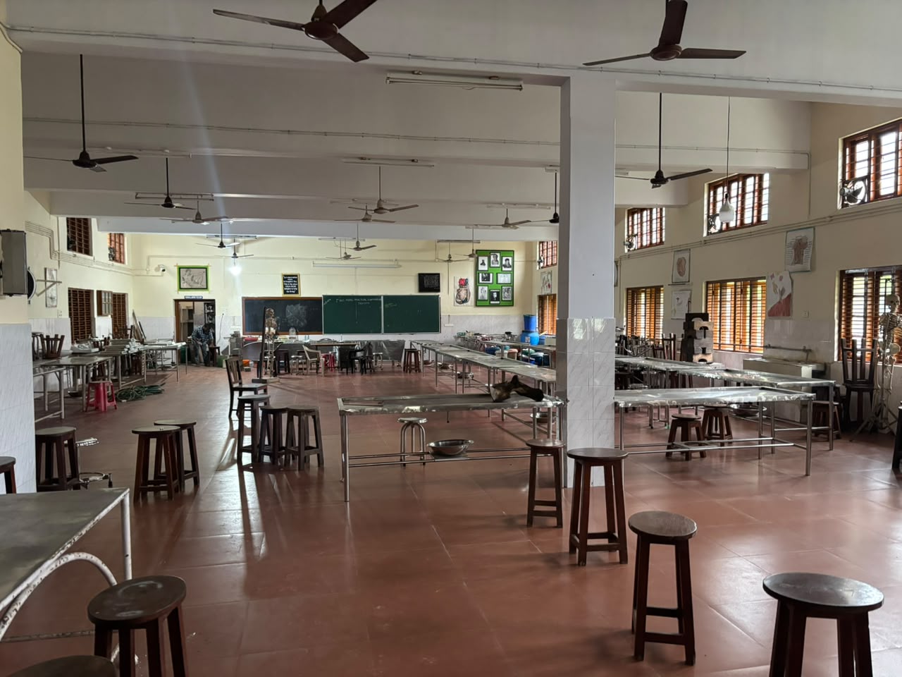 dissection hall image 2